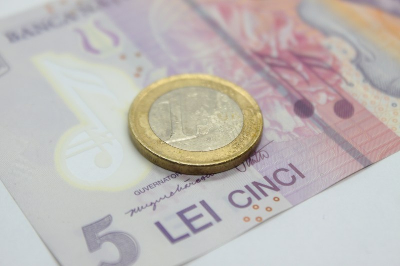 Curs valutar Euro-leu. Foto: Silviu Carol Cenusa | Dreamstime.com
