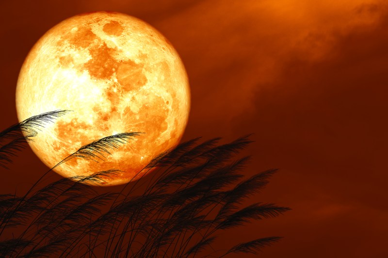 „Luna Căpșună” va apărea pe cerul serii. Când poate fi admirat fenomenul astronomic spectaculos